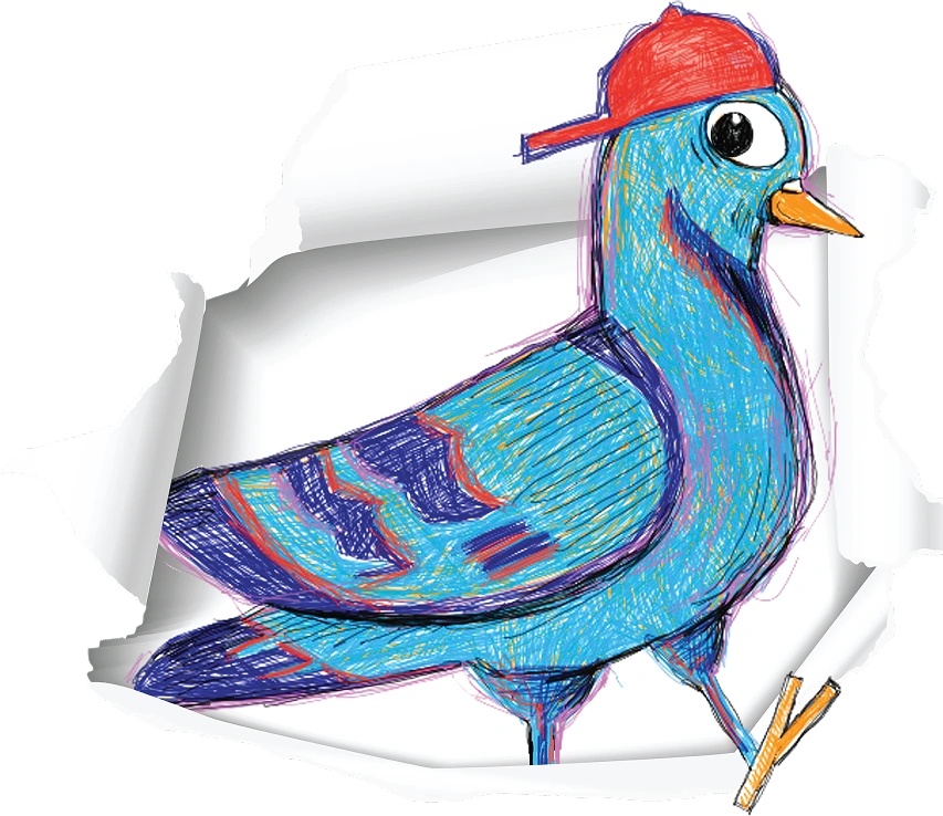 Colourful pigeon